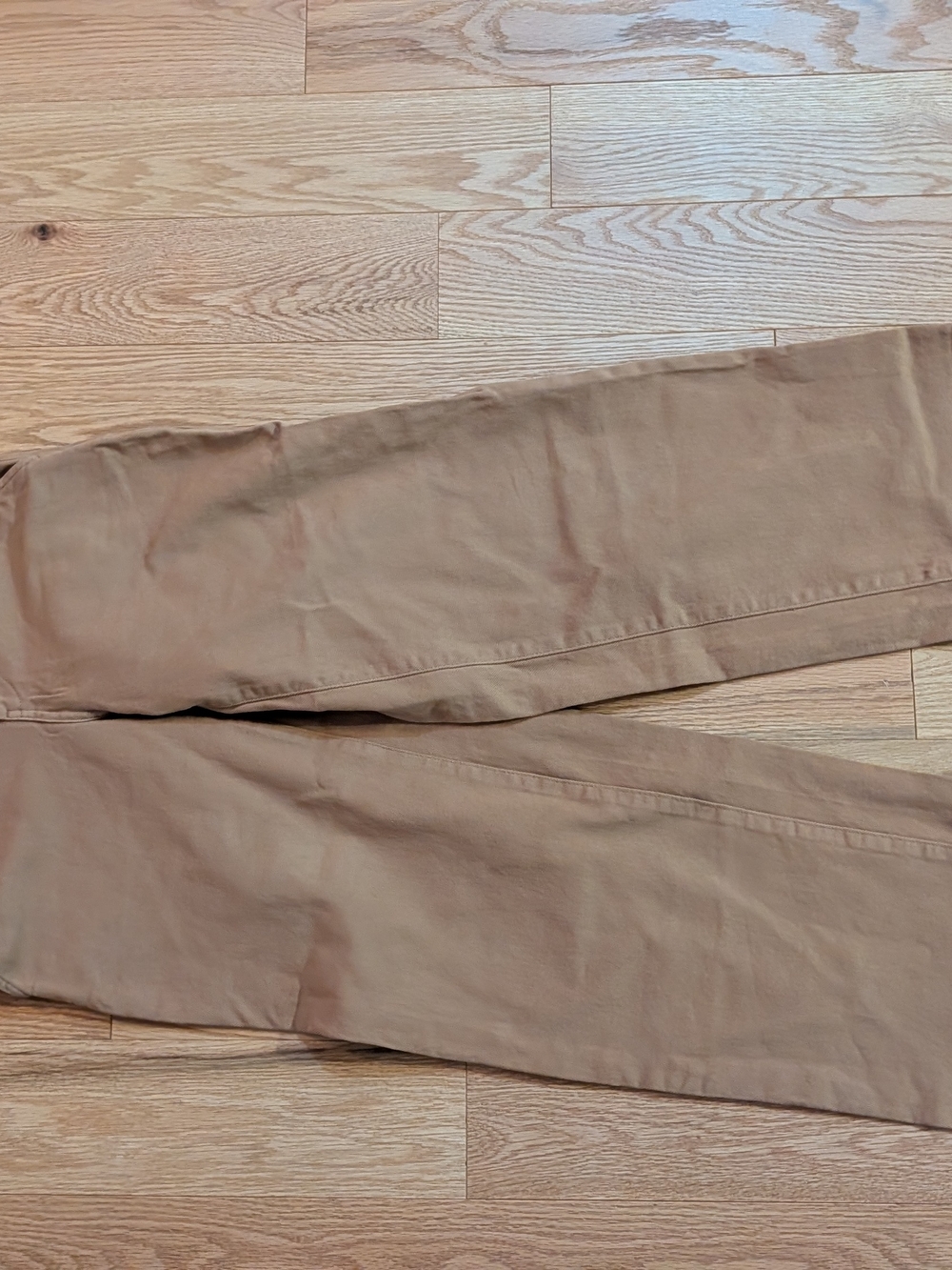 Everlane Organic High-Rise Straight Leg Pants In Toasted Coconut - Picture 4 of 7